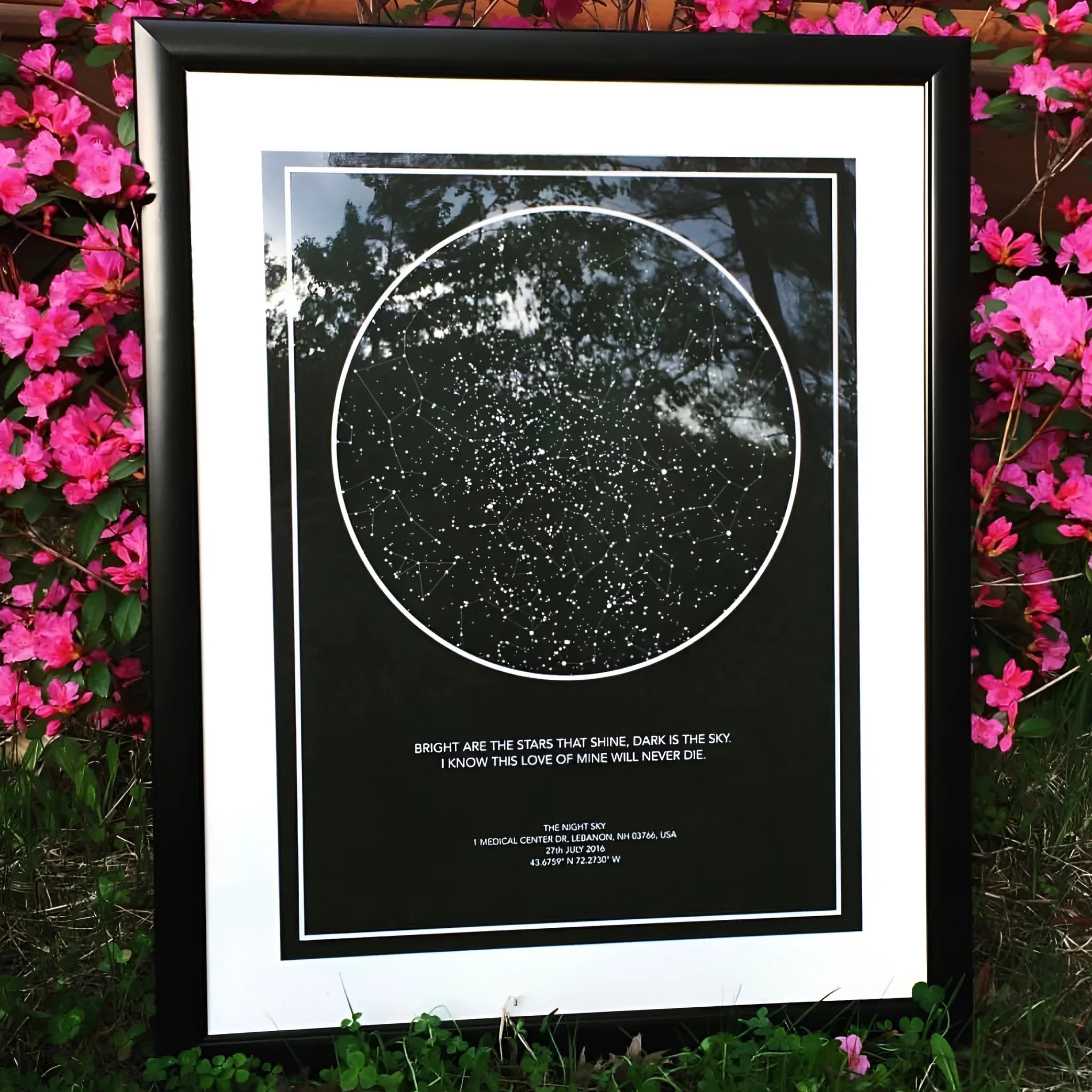 Framed personalized star map print with white constellation dots, displayed outdoors among pink flowers.